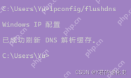 关于两步到位Chrome永久停止更新