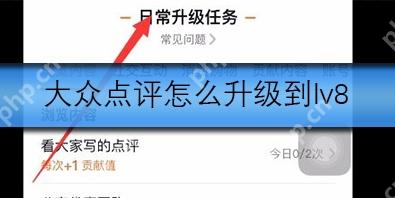 大众点评如何升级到lv8