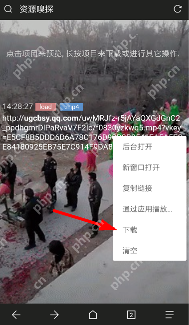 Via浏览器怎么更改下载后缀？更改下载后缀的流程说明