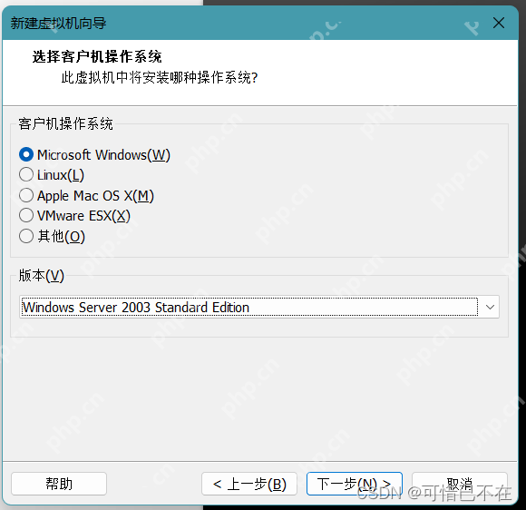 安裝 Windows Server 2003