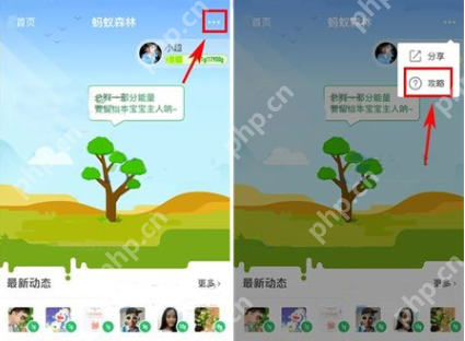 在支付宝里怎么将行走捐打开？将行走捐打开的步骤一览