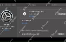 u盘里的镜像文件是什么样子格式