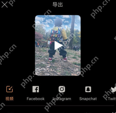 pixaloop怎么保存图片？保存图片的方法说明