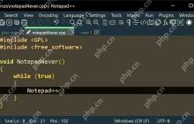 Notepad++插件冲突导致软件崩溃的解决办法