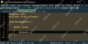 Notepad++插件冲突导致软件崩溃的解决办法