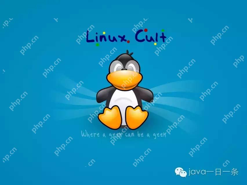 我的 Linux 一万小时