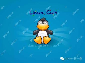 我的 Linux 一万小时
