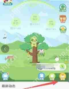蚂蚁森林怎么不让别人偷能量