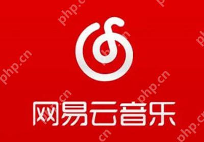 网易云音乐怎么开启流量播放功能