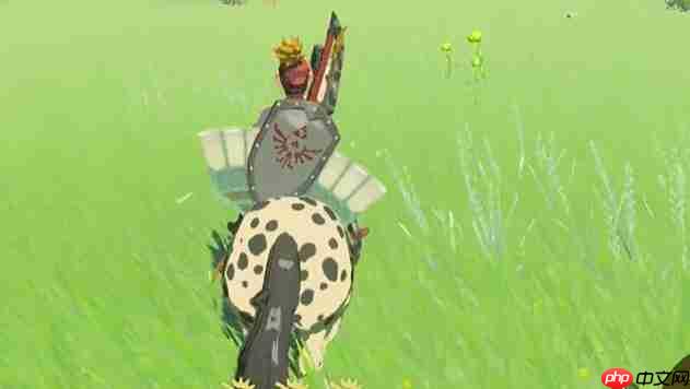 塞尔达中央海拉鲁马儿去向何方怎么过-迷你挑战马儿去向何方攻略