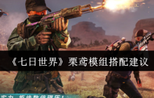 七日世界栗鸢模组终极指南：狙击之王进阶搭配秘籍