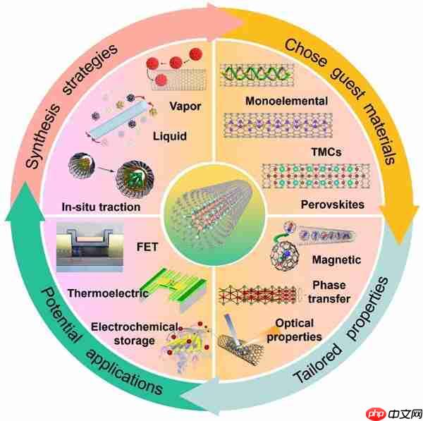 中国科学院Chem. Soc. Rev.：碳纳米管限域合成一维原子晶体异质结构综述