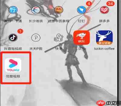 优酷怎么慢播放 慢播放操作流程一览