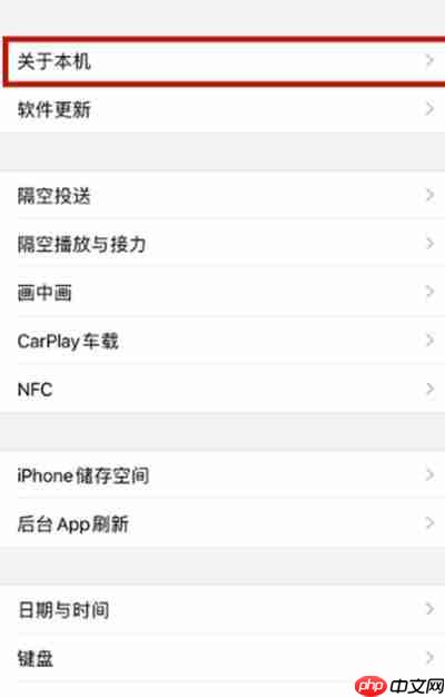 苹果12手机查看系统版本信息的方法