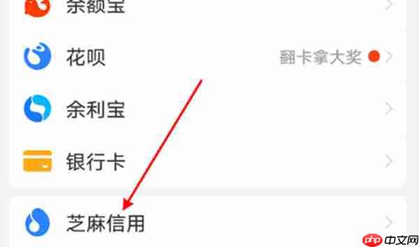 支付宝中的芝麻GO怎么申请退出
