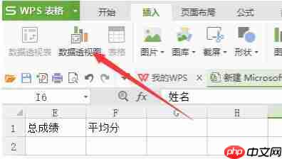 WPS怎么做数据透视WPS数据透视表求和方法分享表？