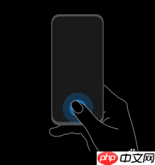 荣耀50的指纹在哪里