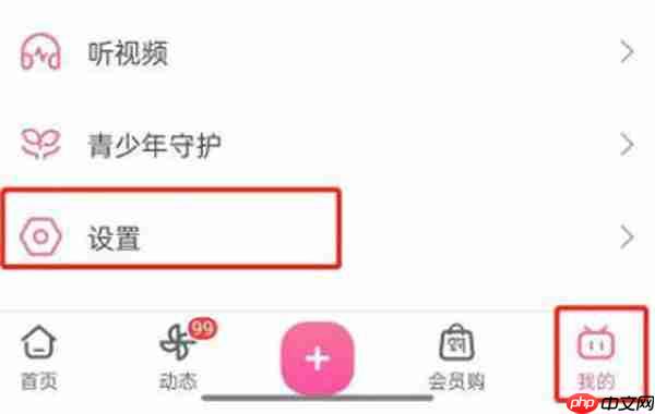 哔哩哔哩怎么设置音乐通知栏2025