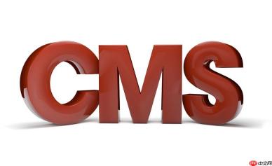 帝国CMS制作电商网站的功能实现与案例分析