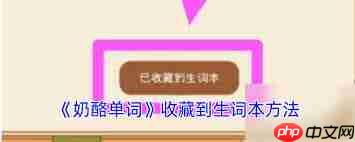 奶酪单词如何添加生词-奶酪单词怎样添加生词