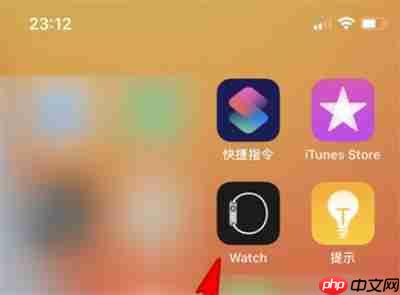 Apple watch可以设置电话铃声吗