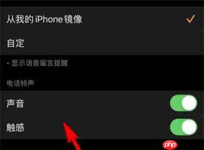 Apple watch可以设置电话铃声吗