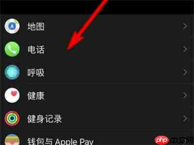 Apple watch可以设置电话铃声吗