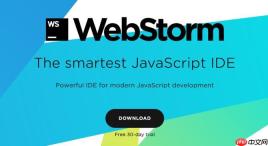 利用WebStorm编写TypeScript代码的优势和方法