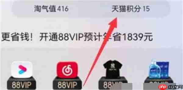 淘宝天猫积分怎么使用