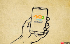 小程序在社交电商领域的发展潜力