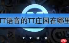 TT语音的TT庄园在哪里