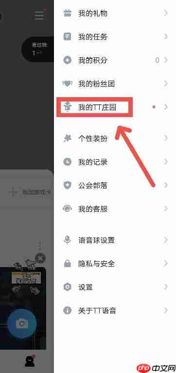 TT语音的TT庄园在哪里