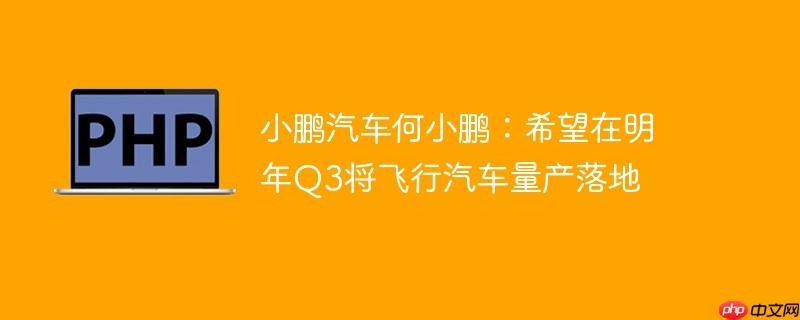 小鹏汽车何小鹏:希望在明年Q3将飞行汽车量产落地