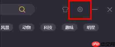 飞火壁纸怎么设置静态壁纸