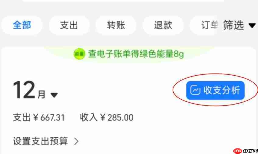 支付宝2025年度账单在哪里查