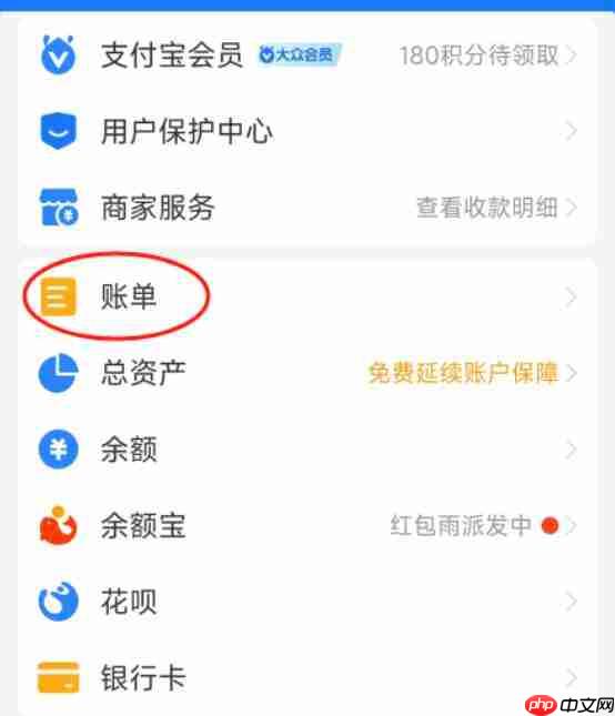 支付宝2025年度账单在哪里查
