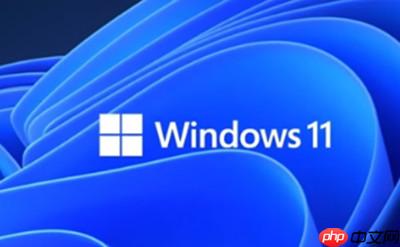 win11怎么快速的清理磁盘垃圾