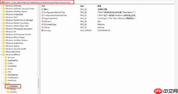 win11计划通道release preview怎么更改为Dev