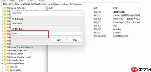 win11计划通道release preview怎么更改为Dev
