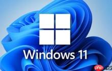 win11计划通道release preview怎么更改为Dev