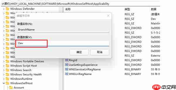 win11计划通道release preview怎么更改为Dev