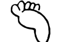 qq画图红包脚怎么画？QQ画图红包所有图案画法汇总
