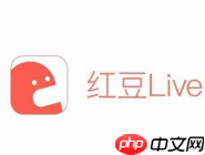 在红豆Live里怎么进行提现？红豆Live提现方法说明