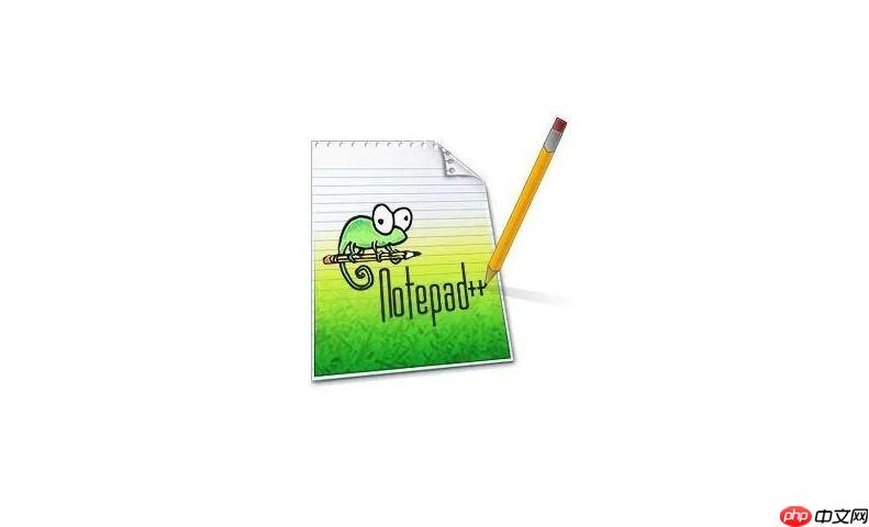 在StackOverflow上搜索Notepad++相關問題的技巧-小浪學習網