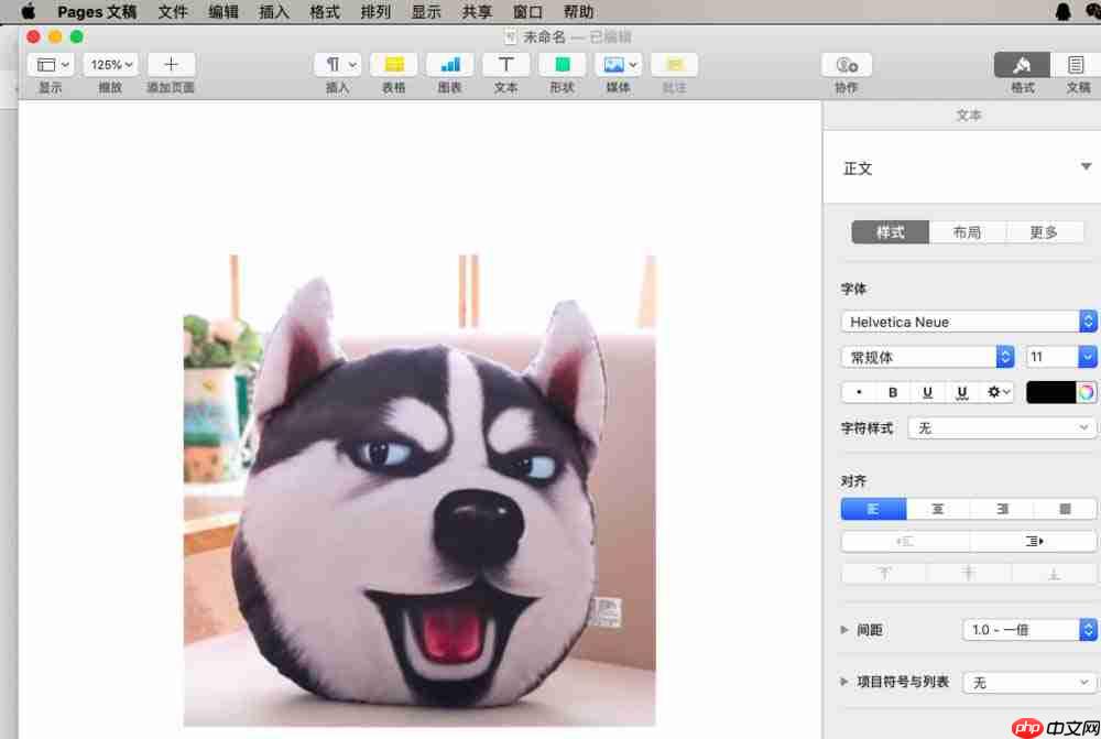 pages遮盖图片怎么实现裁剪效果 遮盖图片实现裁剪效果方式一览