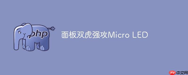 面板双虎强攻micro led