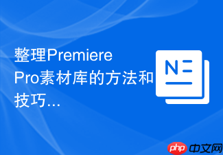 整理PremierePro素材库的方法和技巧