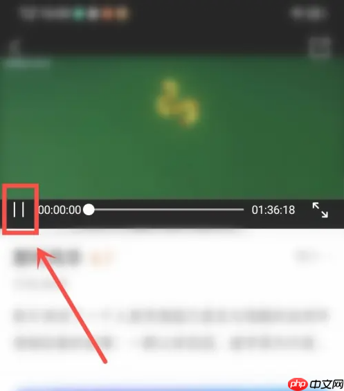 电影频道app怎么看 电影频道app看电影方法