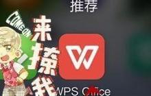 WPS Office APP数据透视表功能怎么使用？使用数据透视表功能的步骤一览