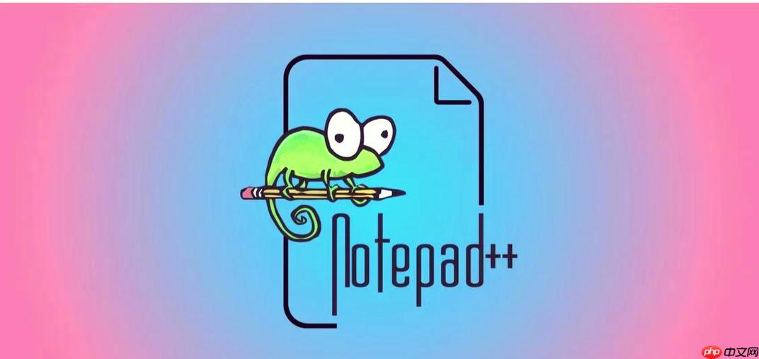 验证Notepad++插件安全性的有效手段